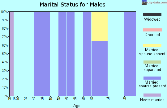 Zip code 26520 marital status for males