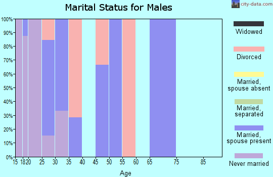 Zip code 26521 marital status for males