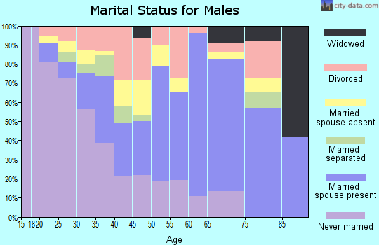 Zip code 26525 marital status for males