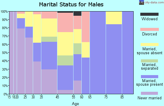Zip code 26529 marital status for males