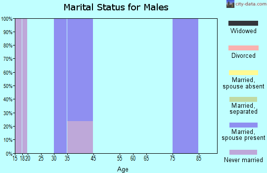 Zip code 26531 marital status for males