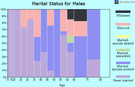 Zip code 26534 marital status for males