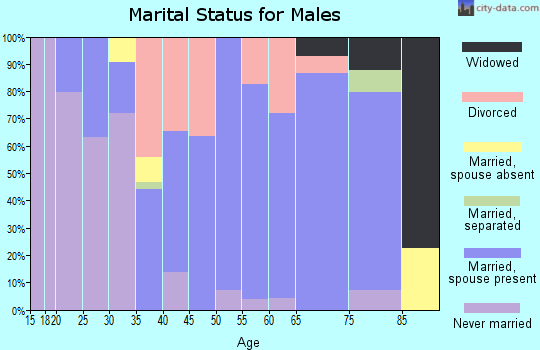 Zip code 26537 marital status for males
