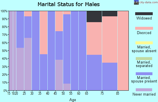 Zip code 26541 marital status for males