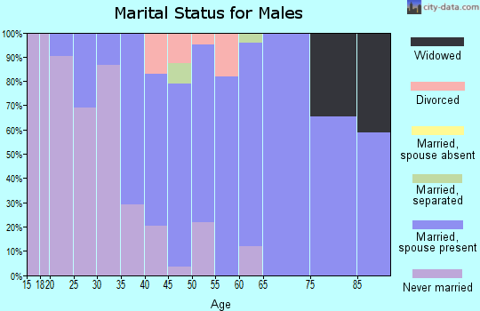 Zip code 26542 marital status for males