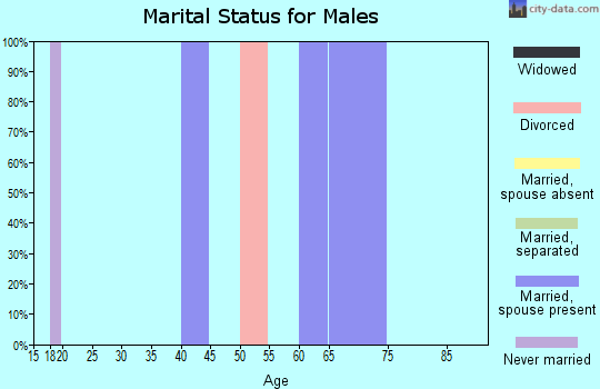 Zip code 26543 marital status for males