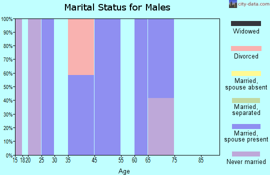 Zip code 26544 marital status for males