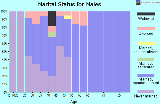 Zip code 26547 marital status for males