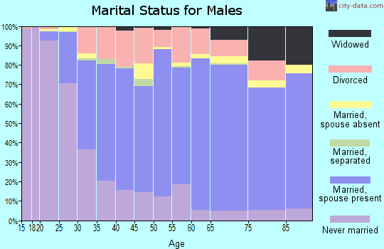 Zip code 26554 marital status for males