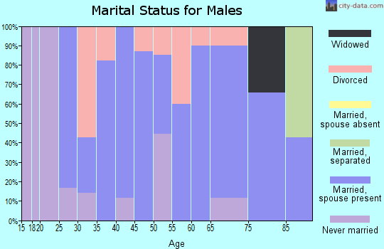 Zip code 26559 marital status for males
