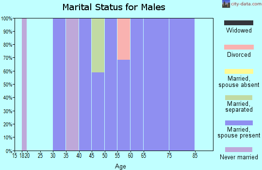 Zip code 26562 marital status for males