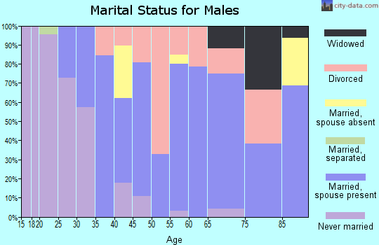 Zip code 26570 marital status for males