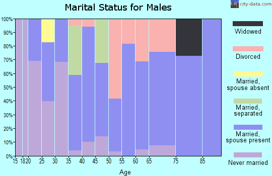Zip code 26571 marital status for males