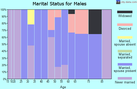 Zip code 26574 marital status for males