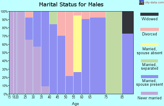 Zip code 26575 marital status for males
