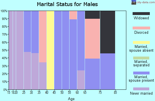 Zip code 26581 marital status for males