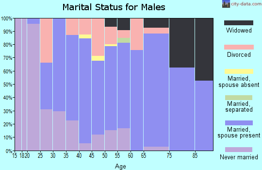 Zip code 26582 marital status for males