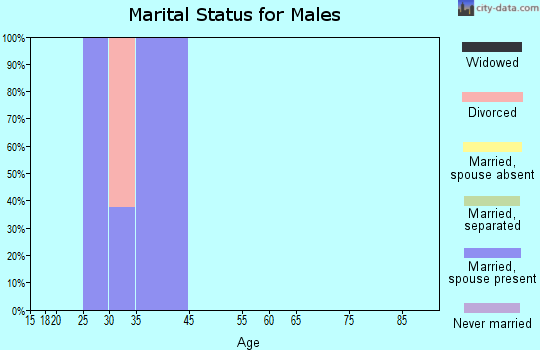 Zip code 26586 marital status for males