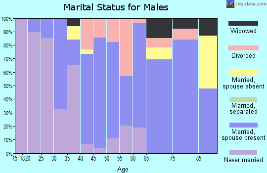 Zip code 26588 marital status for males