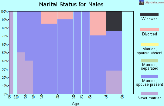 Zip code 26589 marital status for males