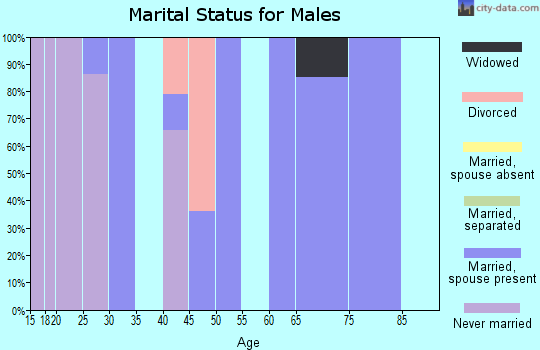 Zip code 26590 marital status for males