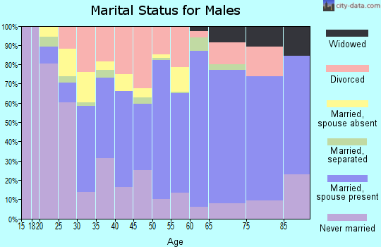Zip code 26601 marital status for males