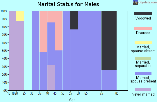Zip code 26610 marital status for males