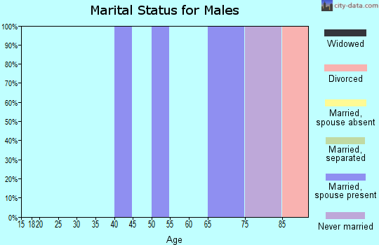 Zip code 26611 marital status for males