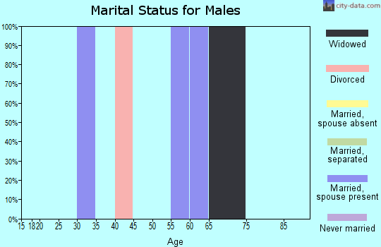 Zip code 26615 marital status for males