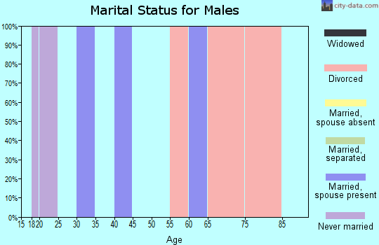 Zip code 26619 marital status for males