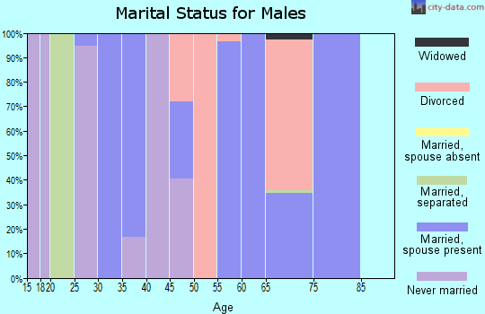 Zip code 26621 marital status for males