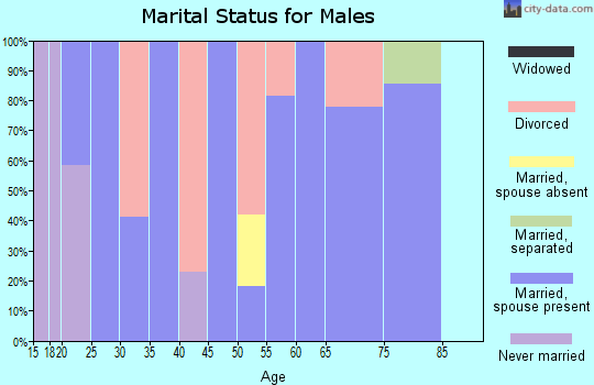 Zip code 26623 marital status for males