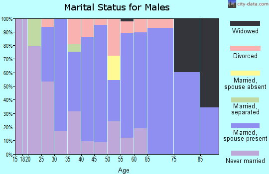 Zip code 26624 marital status for males