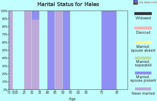 Zip code 26627 marital status for males