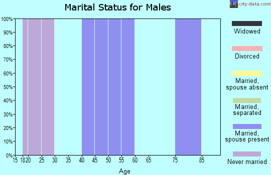 Zip code 26631 marital status for males