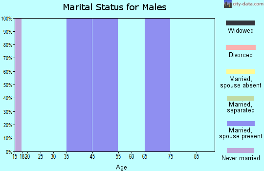 Zip code 26634 marital status for males
