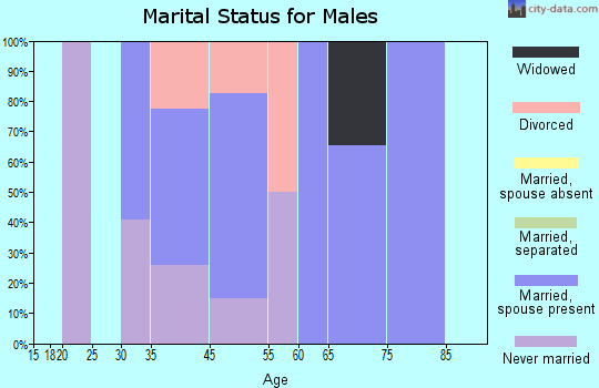 Zip code 26639 marital status for males
