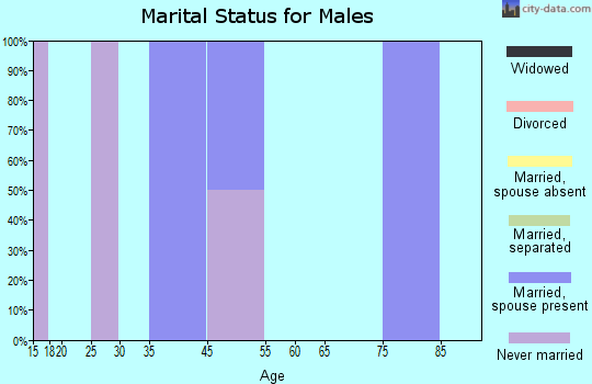 Zip code 26641 marital status for males