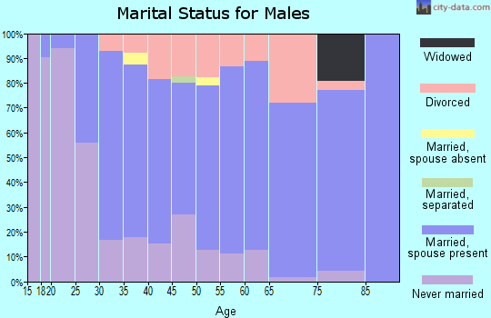 Zip code 26651 marital status for males