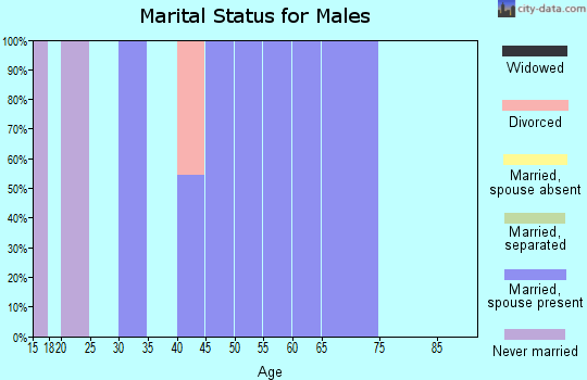 Zip code 26662 marital status for males