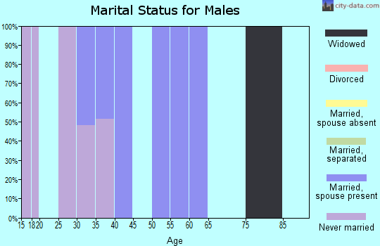 Zip code 26676 marital status for males