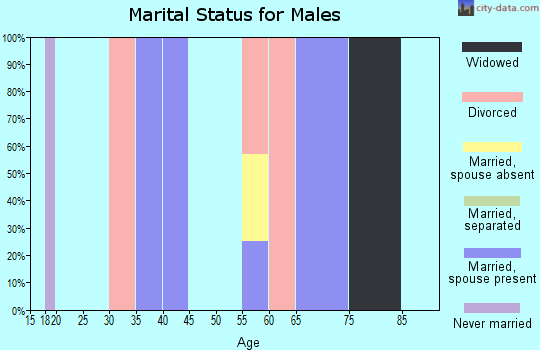 Zip code 26691 marital status for males