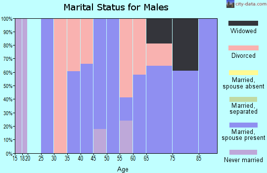 Zip code 26705 marital status for males