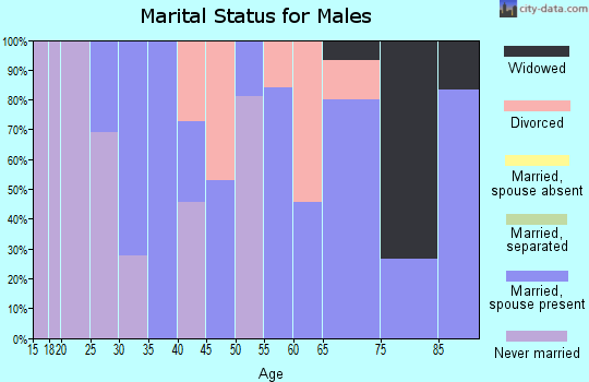 Zip code 26707 marital status for males