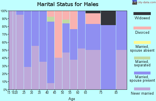 Zip code 26711 marital status for males