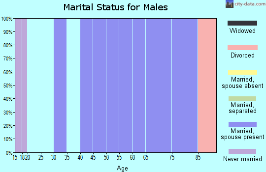 Zip code 26716 marital status for males