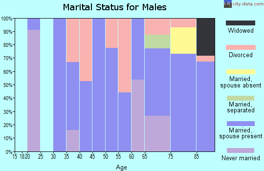 Zip code 26719 marital status for males