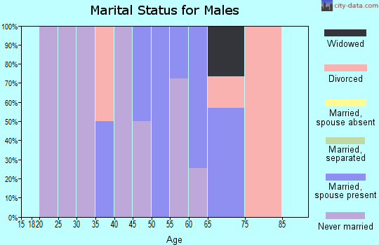 Zip code 26722 marital status for males