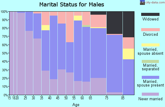 Zip code 26726 marital status for males