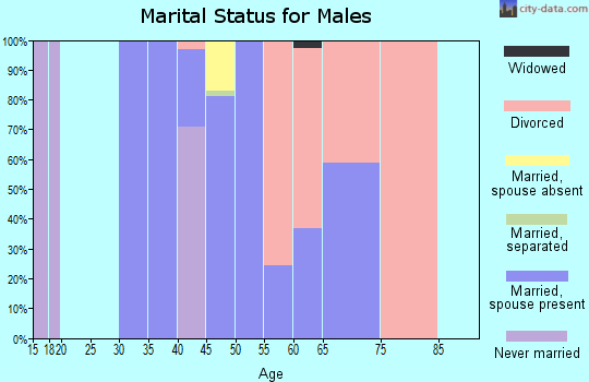 Zip code 26739 marital status for males